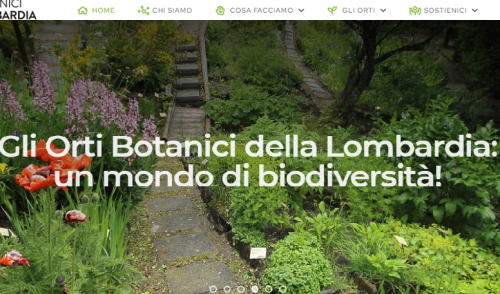 Immagine per il contenuto "Daniela Praolini è la nuova presidente della Rete degli Orti botanici della Lombardia"