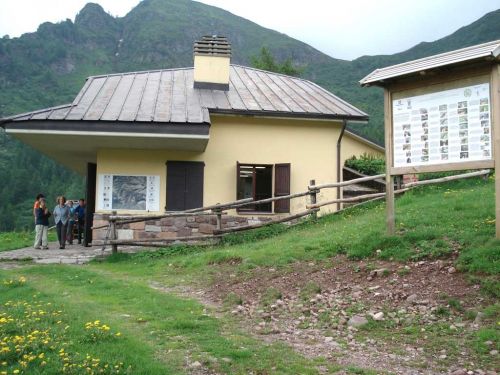 Immagine per il contenuto "La Pastorizia vagante oggi: tra città e montagna - Foresta Val Grigna (BS)"