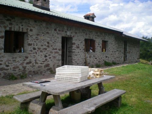 Immagine per il contenuto "Festa d'Alpe a Rosello di Mezzo"