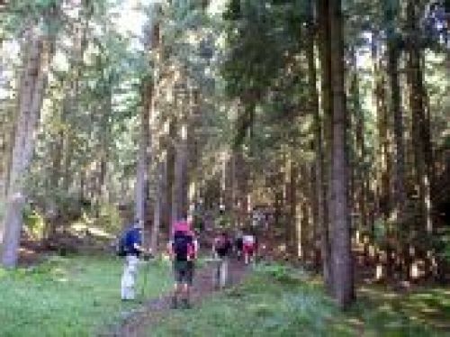 Immagine per il contenuto "Attraverso i boschi, nel cuore dei monti - Riserva Naturale Boschi del Giovetto di Paline (BS)"