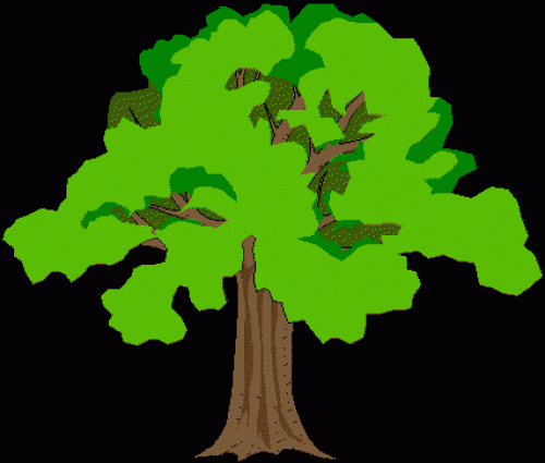 Immagine per il contenuto "Festa nazionale dell'albero"