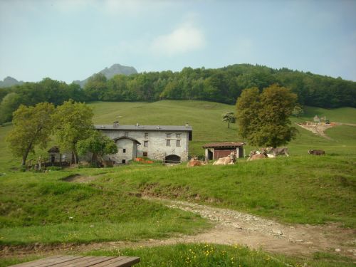 Immagine per il contenuto "Degustazione all'Alpe Bedolo - Foresta Valle Intelvi (CO)"