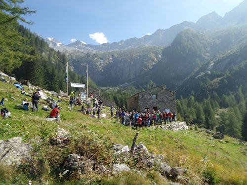 Immagine per il contenuto "Le erbe dell'Alpe - Foresta Val Masino (SO) "