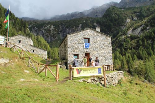 Immagine per il contenuto "Camminaforeste 2017: tappa del 03/07 aperta a tutti"