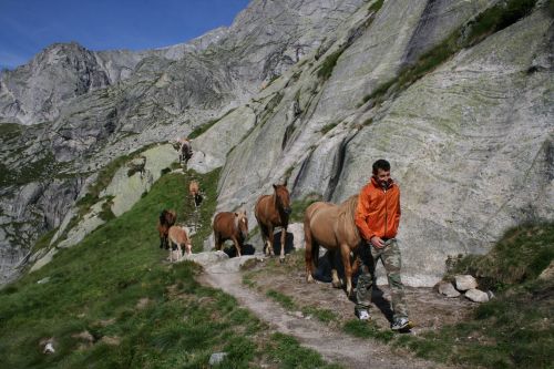 Immagine per il contenuto "Visita guidata all'Alpe Zocca - Riserva Naturale Val di Mello (SO)"