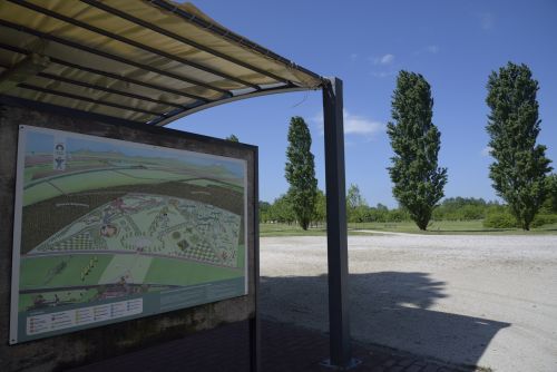Immagine per il contenuto "Carrozze e cavalli nella Foresta Carpaneta"