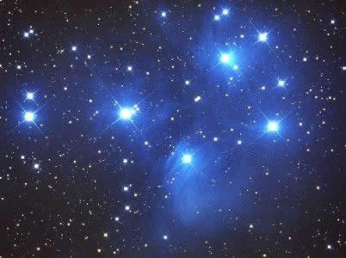 Immagine per il contenuto "La notte delle stelle di San Lorenzo - Foresta Carpaneta (MN) "