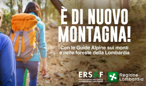 Immagine per il contenuto "È di nuovo montagna! Con le Guide Alpine sui monti e nelle foreste della Lombardia"