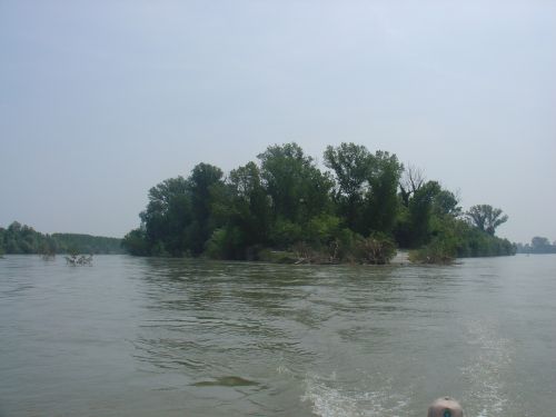 Immagine per il contenuto "Passeggiata con il poeta - Riserva Naturale Isola Boschina (MN)"