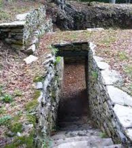 Immagine per il contenuto "mOvRIMENTO - Foresta Monte Generoso (CO)"
