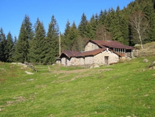 Immagine per il contenuto "Alpeggi in festa a Campolungo - Foresta Regionale Val Grigna (BS)"