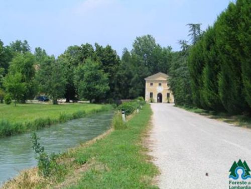 Immagine per il contenuto "A spasso per l’Ecomuseo - Foresta Carpaneta (MN)"