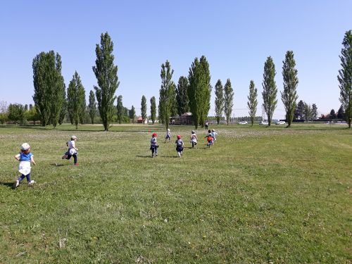 Immagine per il contenuto "Evento letterario Foresta Carpaneta (MN)"