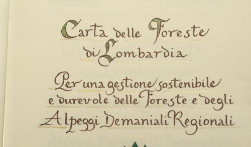 Immagine per il contenuto "Carta delle Foreste: i sindaci la firmano nelle sedi territoriali di ERSAF"