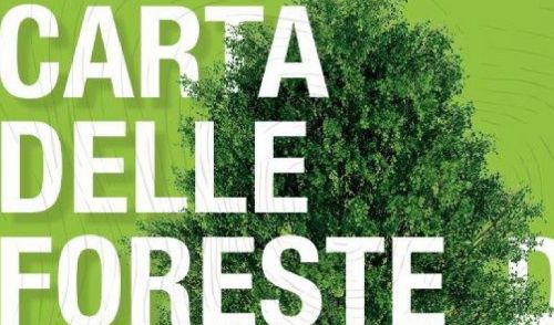Immagine per il contenuto "Rinviata la cerimonia di firma della Carta delle Foreste prevista per mercoledì 26 febbraio"