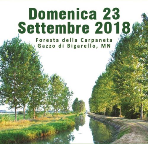 Immagine per il contenuto "Giornata in Foresta Carpaneta"
