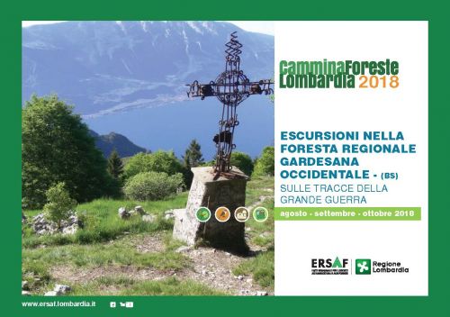 Immagine per il contenuto "CamminaForeste Lombardia 2018 - Escursioni Gardesana Occidentale (BS)"