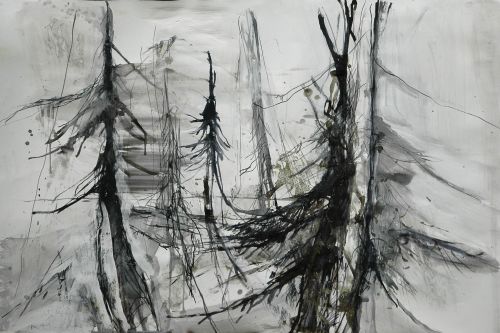 Immagine per il contenuto "Disegnare la natura - Riserva Boschi del Giovetto di Paline (BS)"