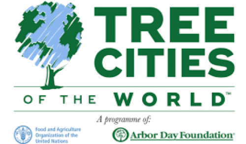 Immagine per il contenuto "A Milano, Torino e Mantova il riconoscimento di “Tree Cities of the World”"