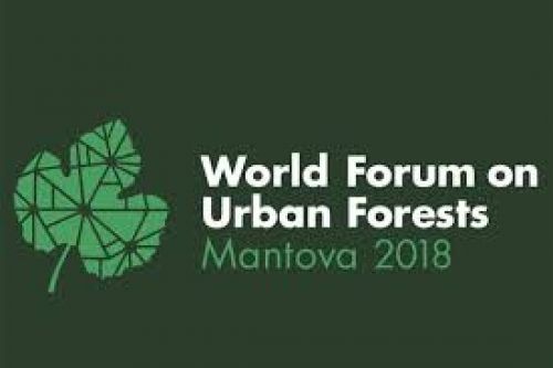 Immagine per il contenuto "A Mantova il World Forum on Urban Forests"