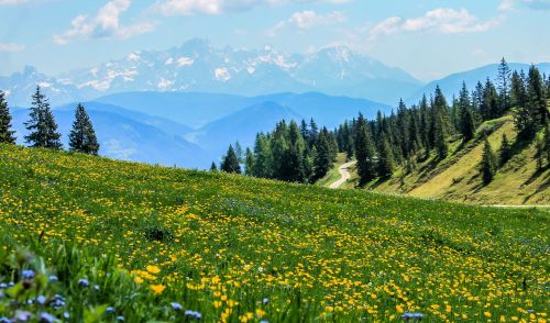 Immagine per il contenuto "Montana 174, notizie dall'Europa"