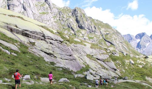 Immagine per il contenuto "Foreste da Vivere: pronto il calendario eventi del mese di luglio"