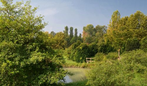 Immagine per il contenuto "Convegno “Il ritorno del bosco nella pianura: esperienze mantovane”."