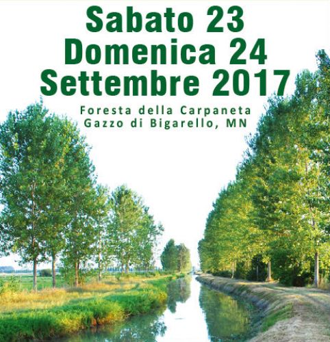 Immagine per il contenuto "Week end nella foresta Carpaneta"