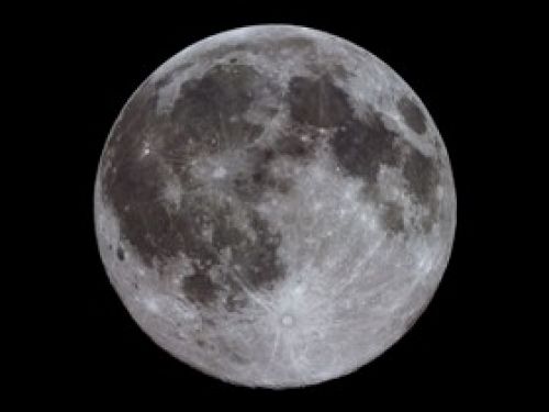 Immagine per il contenuto "Luna d'Alpeggio - Foresta Val di Scalve (BS)"