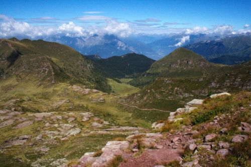 Immagine per il contenuto "Vagabondaggio geopoetico - Foresta Val Grigna (BS)"