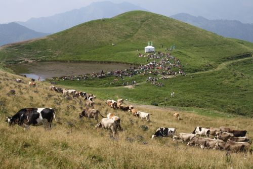 Immagine per il contenuto "Festa Costa del Palio"