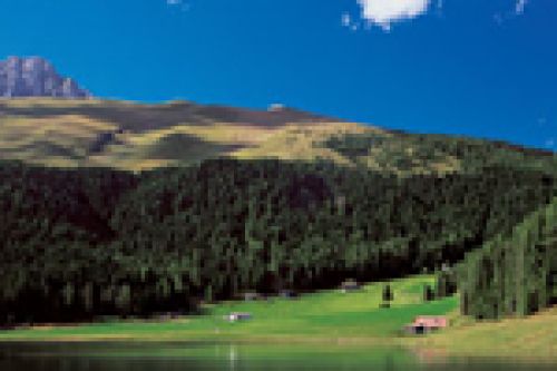 Immagine per il contenuto "Voci dal bosco, racconti tra gli alberi in cammino - Riserva Naturale Boschi del Giovetto di Paline (BS)"