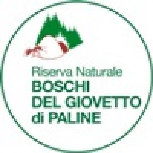 Immagine per il contenuto "Amica Formica - Riserva Naturale Boschi del Giovetto di Paline (BS)"