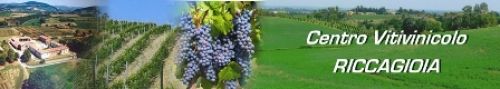 Immagine per il contenuto "I frutti della terra - Az. Agricola Riccagioia (PV)"
