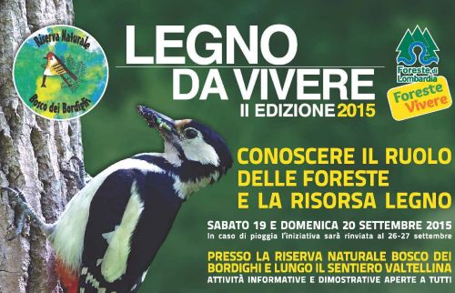 Immagine per il contenuto "Legno da Vivere 2015"