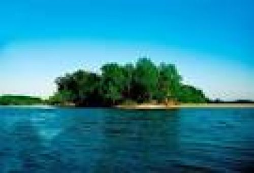 Immagine per il contenuto "Festa d'autunno nella Riserva naturale Isola Boschina (MN)"