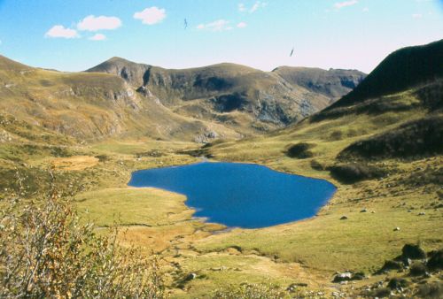 Immagine per il contenuto "Giornata della trota all'Alpe Vaia"