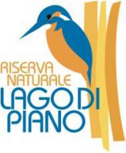 Immagine per il contenuto "Chi è stato? - Riserva Lago di Piano (CO)"