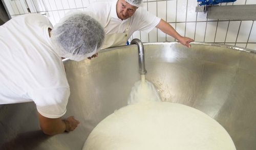 Immagine per il contenuto "Parte dallo Strachìtunt la valorizzazione casearia della Val Taleggio. Guarda il video"