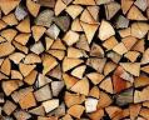 Immagine per il contenuto "Il cantiere forestale: organizzazione e meccanizzazione - Foresta Resegone (LC)"