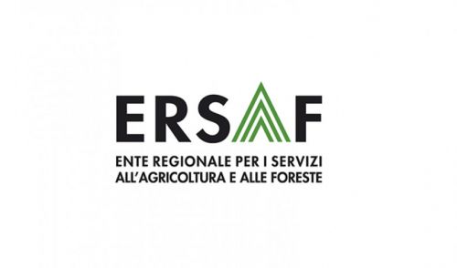 Immagine per il contenuto "Avvisi pubblici di mobilità esterna per il passaggio diretto tra pubbliche amministrazioni"