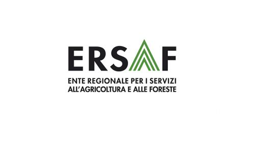 Immagine per il contenuto "Consultazione pubblica per l’aggiornamento del Piano Triennale di Prevenzione della Corruzione"