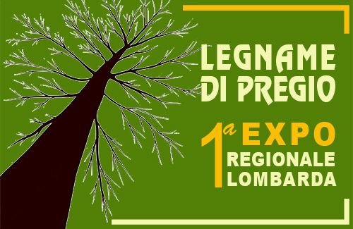 Immagine per il contenuto "ERSAF alla 1^ Esposizione e vendita regionale lombarda del legname di pregio - Erba (CO)"
