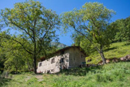 Immagine per il contenuto "Suonar di malga - Foresta Gardesana occ. (BS)"