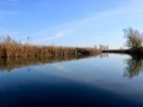 Immagine per il contenuto "Tour nell'Eden - Parco del Mincio (MN)"