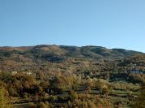 Immagine per il contenuto "Escursioni ed eventi alla RN Monte Alpe (PV)"