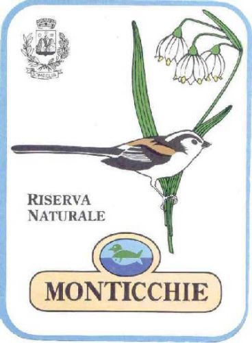 Immagine per il contenuto "La lucciolata, ascoltare per vedere - RN Monticchie"