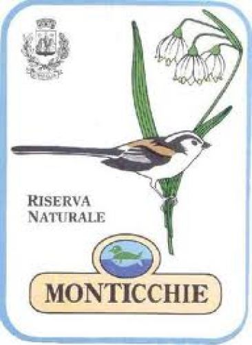Immagine per il contenuto ""Il fiume ieri e oggi: un tuffo nel paesaggio" e "Il Po per tutti: dalla natura alla tavola" - Riserva Naturale Monticchie (LO)"
