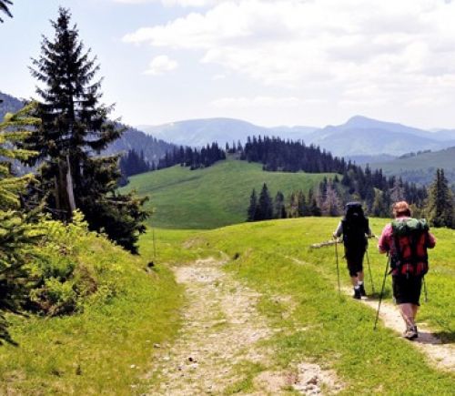 Immagine per il contenuto ""Attiva la vacanza, vivi la natura" - Foresta Gardesana occ."