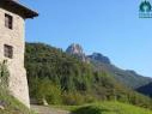 Immagine per il contenuto "Aspettando S. Valentino - Foresta Corni di Canzo (CO)"